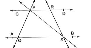 In the adjoining figure , name :   (i)four pairs of intersecting lines   (ii)four collinear points   (iii)three noncollinear points    (iv) three concurrent lines        (v) three lines whose point of intersection is P.