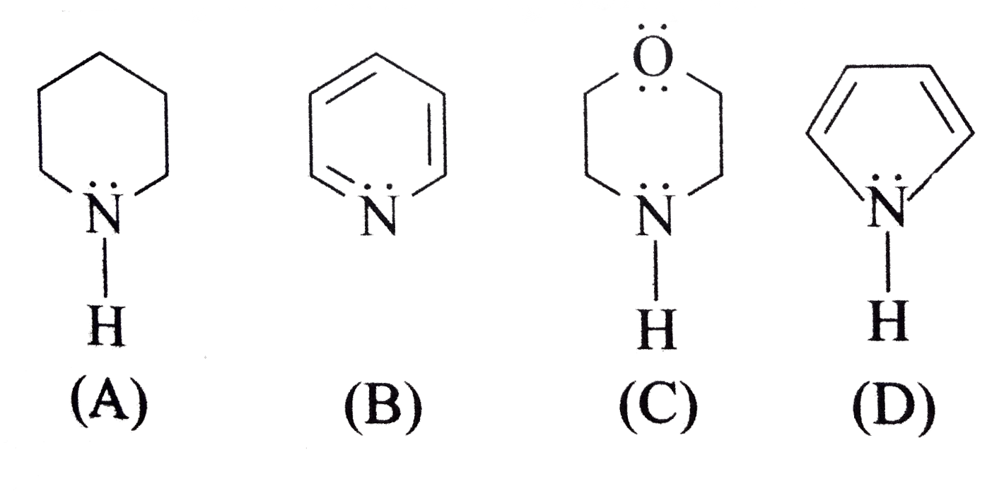 Among the following compounds the correct order of basicity is    .