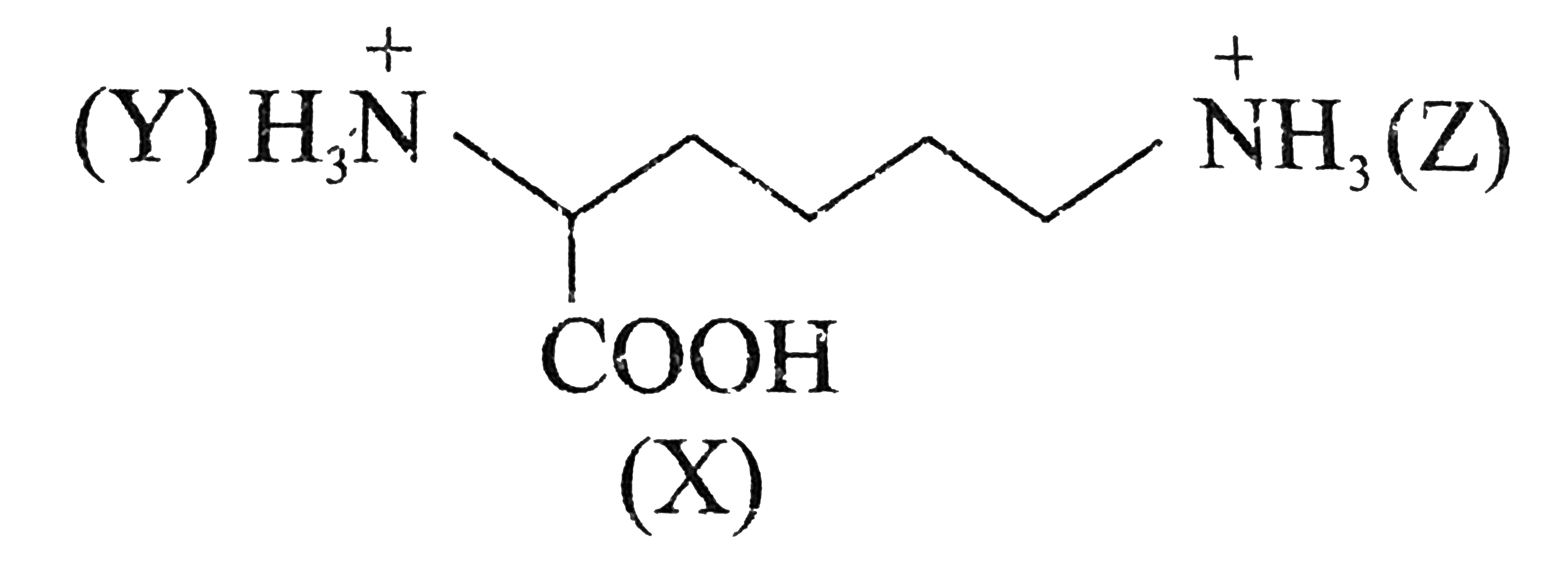 The following species has three acidic sites, namely -COOH (denoted as site X) -overset(+)NH(3) at C - 2 (denoted as site Y) and -overset(+)NH(3) at C - 6 (denoted as site Z)   the order of decreasing acidity of these acidic sites is