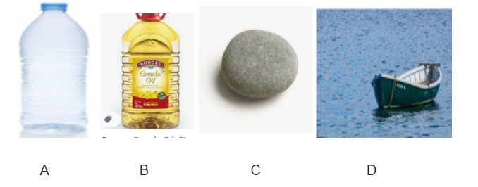 .The following objects are thrown in water and the given objects are shown below.Predict the correct option regarding the following object that may  float on water and may sink in water.