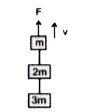 तीन ब्लॉकों (गुटकों) के द्रव्यमान क्रमशः m, 2m तथा 3m है, ये आरेख (चित्र) में दर्शाये गये अनुसार डोरियों से जुड़े हैं। m ब्लॉक पर ऊपर की ओर F बल लगाने पर सभी गुटके एक स्थिर वेग v से ऊपर की ओर गति करते है। 2m द्रव्यमान के ब्लॉक पर नेट बल कितना है। (g गुरूत्वीय त्वरण है)