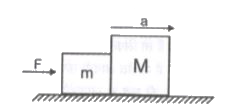 m = 2kg तथा M = 5kg द्रव्यमान के दो गुटकों को घर्षण रहित सतह पर परस्पर सम्पर्क में रखा गया है। एक क्षैतिज बल F(= 35 N) m द्रव्यमान पर लगाया गया है। दोनो गुटकों के मध्य सम्पर्क बल ज्ञात करिये। यदि बल M द्रव्यमान पर लगाया जाये तो क्या सम्पर्क बल समान रहेगा?