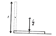 m' द्रव्यमान तथा 'l' लम्बाई की एक छड़ क्षैतिज स्थिति में रखी हुई है।  छड़ को क्षैतिज से ऊर्ध्वाधर स्थित में ले जाने में गुरुत्व बल के विरुद्ध बल द्वारा किया गया कार्य ज्ञात कीजिये।