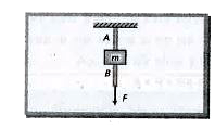 समान पदार्थ के दो तार A व B जिनकी त्रिज्यायें क्रमशः r(A) व r(B) हैं इनके मध्य चित्रानुसार एक पिण्ड (द्रव्यमान m) संलग्न है। जब बल F का मान mg/3 है तो तार टूट जाता है, तब