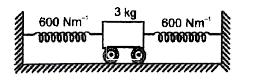3 kg द्रव्यमान की एक ट्रोली चित्र में दर्शानुसार दो स्प्रिंगो से जुड़ी है। प्रत्येक का स्प्रिंग नियतांक 600Nm^(-1) है। यदि ट्रोली इसकी साम्यावस्था स्थिति से 5.0 cm विस्थापित की जाती है तथा फिर मुक्त की जाती है।      आगामी दोलन काल क्या है, तथा