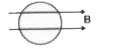 एक कुण्डली को एक नियत चुम्बकीय क्षेत्र में रखा गया है। चुम्बकीय क्षेत्र चित्र में दर्शाएनुसार कुण्डली के तल के समान्तर है। कुण्डली में प्रेरित वि.वा.बल ज्ञात कीजिए।