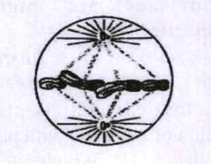 A stage of mitosis is shown in the diagram Which stage is it and what are its characteristics?