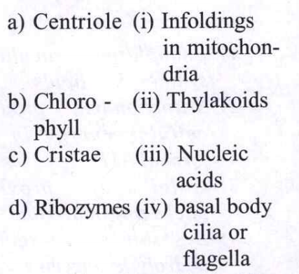 Match the following and select the correct answer: