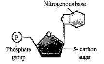 The abopve structure represents a