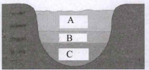 Study the image given below and identify the thermal stratifications A, B & C