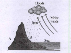 Observe the image depicting the steepness of mountain given below and identify A and B.