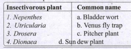 Match the pair and the common names of the insectivorous plants.