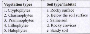 Match the pair and the type of vegetation with the soil they live in.