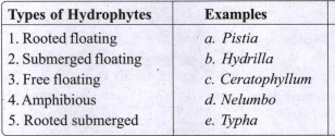 Match the types of hydrophytes with their examples.