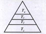 In the given figure, the various trophic levels are shown in a pyramid. At which trophic level is maXIImum energy available?