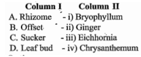 Match the column I with column II and select the correct option.