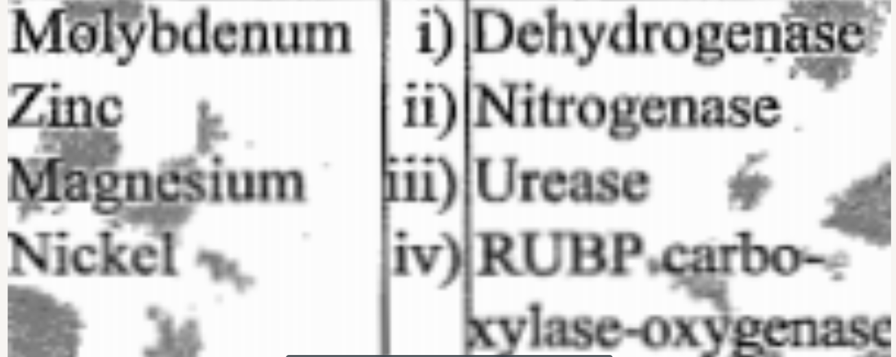 Match the following