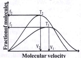 Plot of Maxwell's distribution of velocities is given below.Which of the following is correct about this plot?