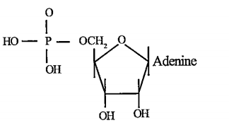 The given organic compound is a diagrammatic representation of: