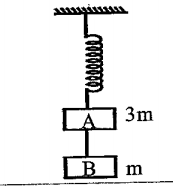 Two blocks A and B masses 3m  and m respectively are connected by a massless and inextensible string.The whole system is  suspended  by  a massless spring as shown in figure . The magnitudes of acceleration A and B immediately after the string is cut , are respectively:  .