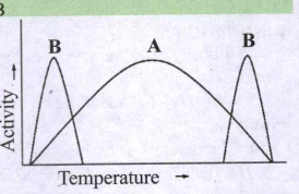 [Tamil] Label the group of organisms marked A and B in the diagram. De