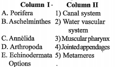 Match the column I with column II and choose the correct option