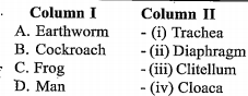 Match the following column I with column II and choose the correct option