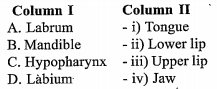 Match the following columne I with column II and choose the correct option