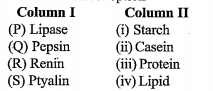 Match column I with column II and choose the correct option.