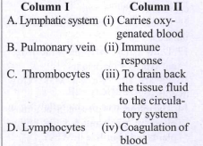 Match the term given under column ‘A’ with their functions given under column B and select the answer from the options given below.