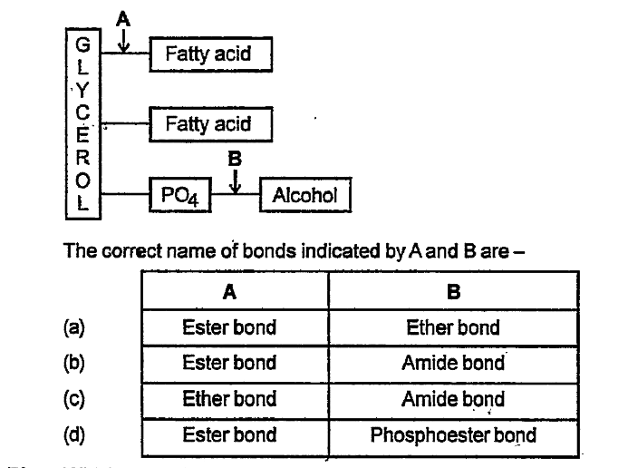 The molecular is as follows -