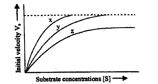 The given figure shows three velocity-substrate concentration curves for an enzyme reaction. What do the curves x, y and z depict respectively?