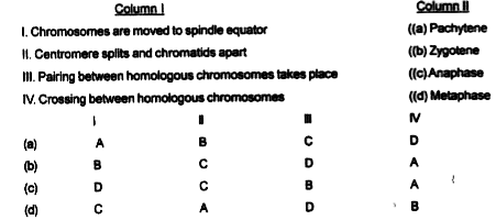 ocr_image