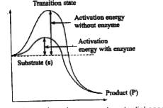 The curve given below shows concept of activation energy . Find out the correct option .