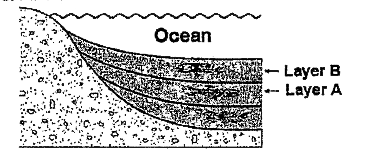 The diagram below shows undisturbed sedimentary strata at the bottom of an ocean. The fossils found in layer B resemble the fossils found in layer A. This similarity suggests that: