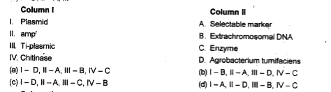 Match the following columns