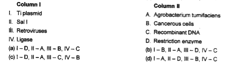 Match the following columns