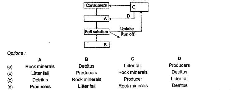 Given below is a simplified model of phosphorus cycling in a terrestrial ecosystem with four blanks (A-D). Identify the blanks.