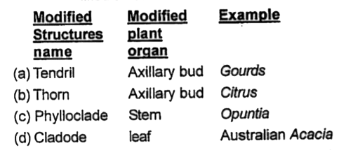 Select the correct option w.r.t. modified structural name, modified organ and examples