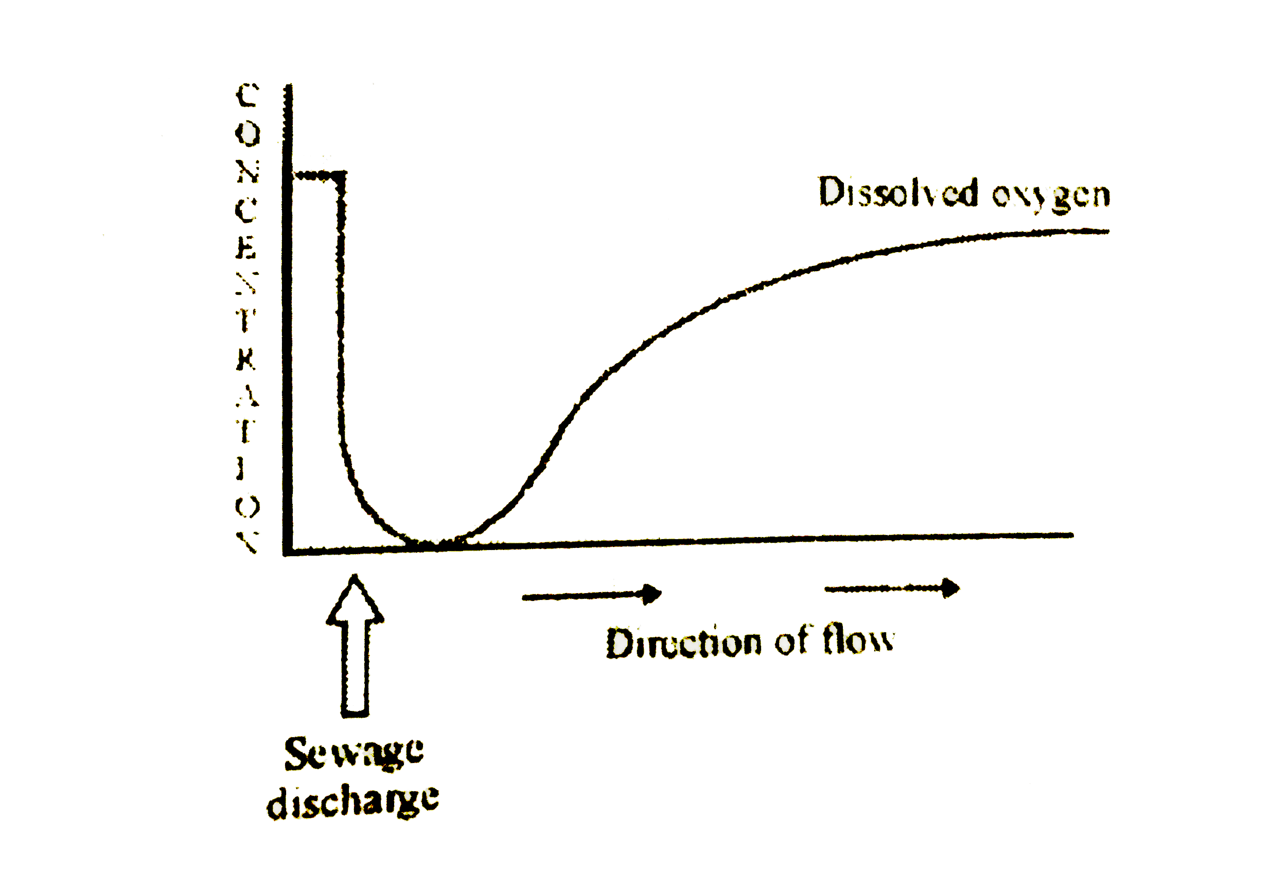 Study the graph given below. Explain how is oxygen concentration affected in the river when sewage is discharged into it.