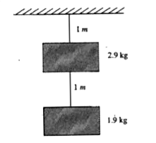 Two blocks of masses 2.9 kg and 1.9 kg are suspended Fig. from a rigid support S by two inextensible wires, each of length 1m.  The supper wire has negligible mass and the lower wire has a uniform mass of 0.2 kg m^(-1).  The whole system of blocks, wires and support have an upward acceleration of 0.2 ms^(-2).   Find the tension in the mid-point of the lower wire.
