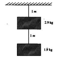 Two blocks of masses 2.9 kg and 1.9 kg are suspended Fig. 4.3.42 from a rigid support S by two inextensible wires, each of length 1m.  The supper wire has negligible mass and the lower wire has a uniform mass of 0.2 kg m^(-1).  The whole system of blocks, wires and support have an upward acceleration of 0.2 ms^(-2).   Find the tension at the mid point of the supper wire.