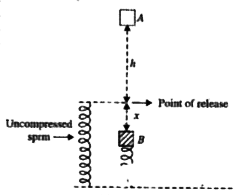 A block of mass m is placed on the top of a vertical spring of force constant k and pushed downward, compressing the spring a distance x. After the block is released it travels upward and then leaves the spring. Calculate the maximum height h to which it rises above the point of release?