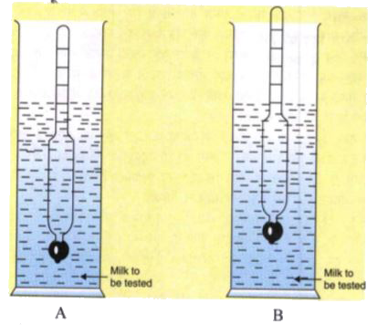 अभिषेक अपने माता-पिता के साथ सोसायटी फ्लैट में रहता है। वह कक्षा नौ में पढ़ रहा है। पिछले कुछ दिन से उसकी मां शिकायत कर रही हैं कि दूधिया जो दूध दे जाता है वह शुद्ध नहीं है। जब उसकी मां ने पड़ोसियों से बात की तो उन्होंने बताया कि उन्हें भी दूध के शुद्ध न होने की शिकायत है। अभिषेक ने कुछ देर इस समस्या के बारे में सोचा। इसके बाद वह बाजार गया और दूध की शुद्धता जांचने के लिए कांच का एक उपकरण खरीदा। अगले दिन जब दूधिया दूध दे गया तो अभिषेक ने उसका दूध एक लंबी परखनली में लिया और उपकरण को उसमें खड़ा रख दिया। उसने तब दूधिये को समझाया कि कैसे यह उपकरण बताता है कि दूध शुद्ध नहीं है, बल्कि मिलावटी है। दूधिए ने तब अपनी गलती मानी और वादा किया कि आगे से वह शुद्ध दूध ही देकर जाएगा। अभिषेक ने इस घटना के बारे में अपने सभी पड़ोसियों को बताया। आखिर में सोसायटी के सभी घरवालों ने वह उपकरण खरीद लिया और दूध की शुद्धता की जांच करने लगे।    दिए गए चित्र में दूध के दो बर्तनों A और B में रखे गए उपकरण कौन सी स्थिति बताते हैं?