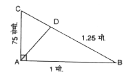 दी गई आकृति में,  / CAB = 90^(@) तथा  AD | BC, AC = 75 सेमी , AB =1  मी तथा BD = 1.25  मी.  लम्ब AD ज्ञात करें।