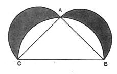 दी गई आकृति में,  Delta ABC एक समकोण त्रिभुज है जिसमें  / A समकोण है।  त्रिभुज की भुजाओं पर अर्धवृत्त बनाए गए हैं।  सिद्ध कीजिए कि इनके छायांकित भाग का क्षेत्रफल Delta ABC  के क्षेत्रफल के बराबर है।