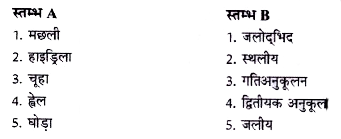 स्तम्भ A और स्तम्भ B के शब्दों का सुमेल कीजिए :