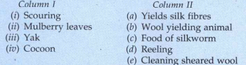 Match the words of the column I with those given in column II :