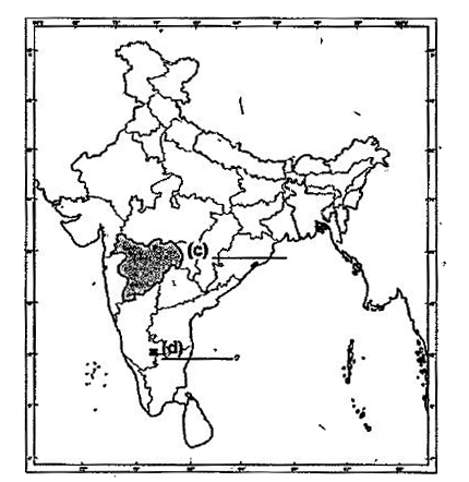 The following features are to be located and labelled on the given India political outline map:   (a) Cotton textile industry-Moradabad   (b) Nuclear Power Plant-Rawatbhata    Identify the features marked on the same given India political map and write their namnes:   (c) A Major Cotton Producing Area   (d) A Software Technology Park        (a) Name the place related to the calling off the Non-Cooperation Movement.   (b) Where was the Indian National Congress Session held in December 1920?   (c) In which state is Digboi oil field located?   (d) Name the state where Bhilai Iron and Steel Plant is located.   (e) Name the Southernmost major sea port located on the eastern coast of India,