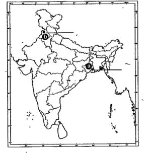 Two features (a) and (b) are marked on the given political outline map of India. Identify these features with  the help of the following information and write their correct names on the lines marked on the map   (i) The place where the Indian National Congress Session was held   (ii) The city where 'Jallianwalla Bagh' incidence took place